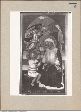 Vorderseite von bh088652_recto