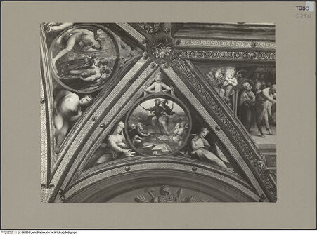 Vorderseite von bh088861_recto