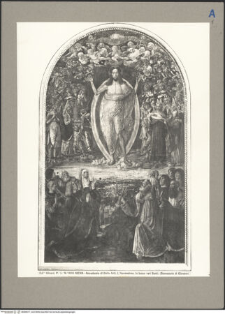 Vorderseite von bh089077_recto