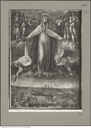 Vorderseite von bh089098_recto