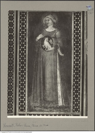 Vorderseite von bh089109_recto