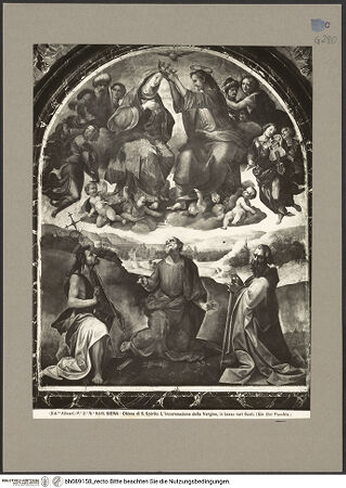 Vorderseite von bh089158_recto