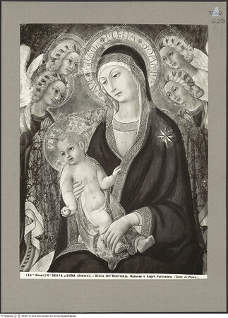 Vorderseite von bh089179_recto