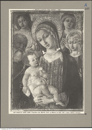 Vorderseite von bh089216_recto