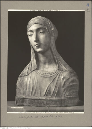 Vorderseite von bh089225_recto