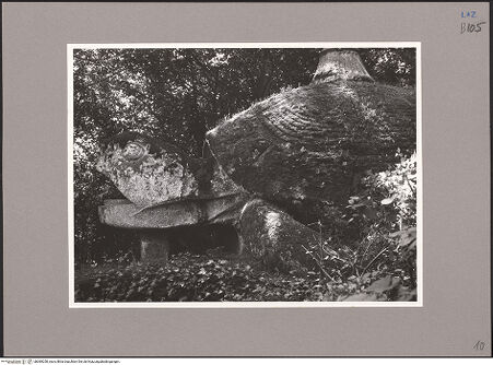 Vorderseite von bh089250_recto