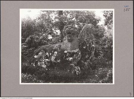 Vorderseite von bh089289_recto