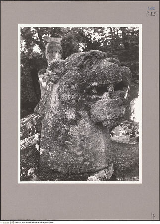 Vorderseite von bh089300_recto