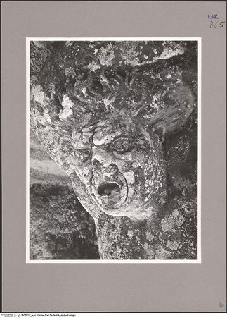 Vorderseite von bh089304_recto