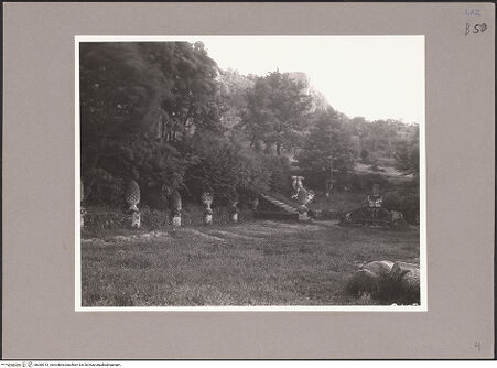 Vorderseite von bh089313_recto