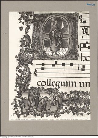 Vorderseite von bh089326_recto