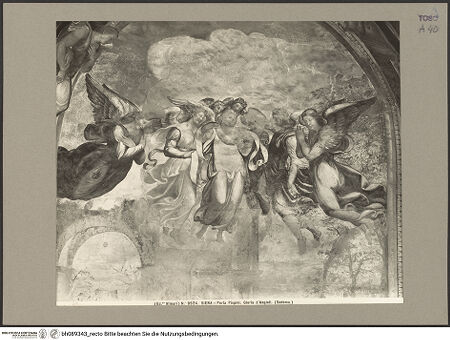 Vorderseite von bh089343_recto