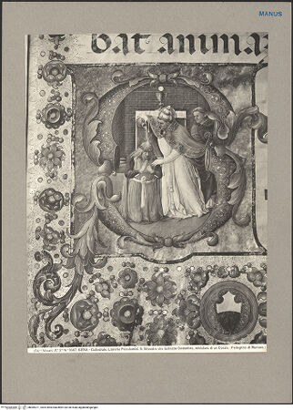 Vorderseite von bh089371_recto