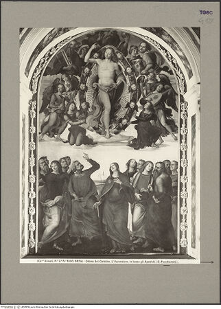 Vorderseite von bh089396_recto