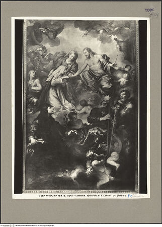 Vorderseite von bh089426_recto