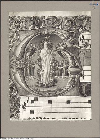 Vorderseite von bh089454_recto