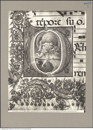 Vorderseite von bh089459_recto