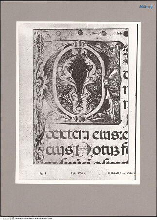 Vorderseite von bh089606_recto