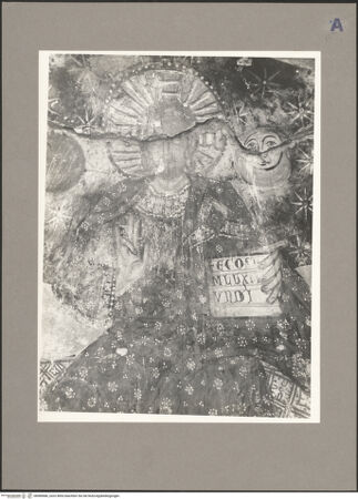 Vorderseite von bh089686_recto