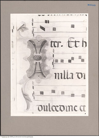 Vorderseite von bh089890_recto