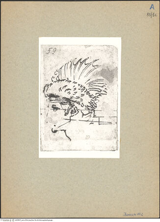 Vorderseite von bh089927_recto