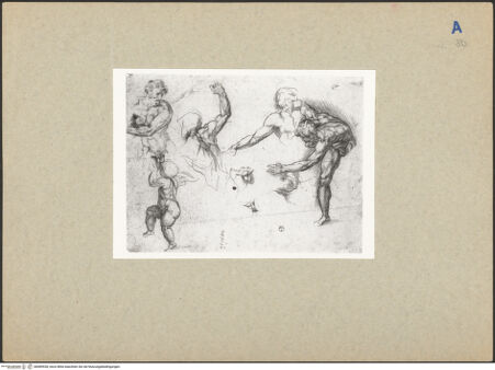 Vorderseite von bh089928_recto