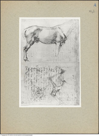 Vorderseite von bh089935_recto