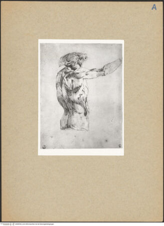 Vorderseite von bh089940_recto