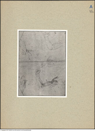 Vorderseite von bh089945_recto