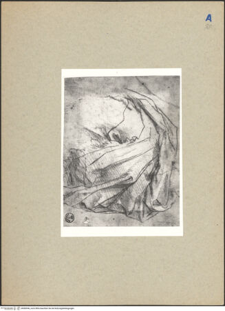 Vorderseite von bh089946_recto