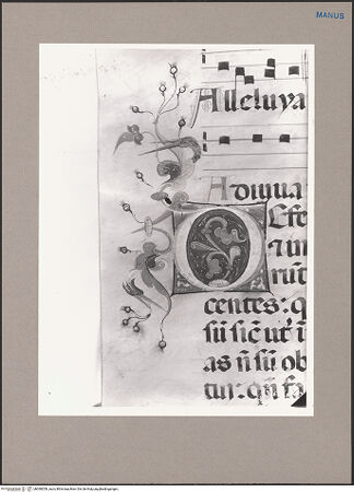 Vorderseite von bh090059_recto