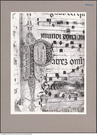 Vorderseite von bh090072_recto