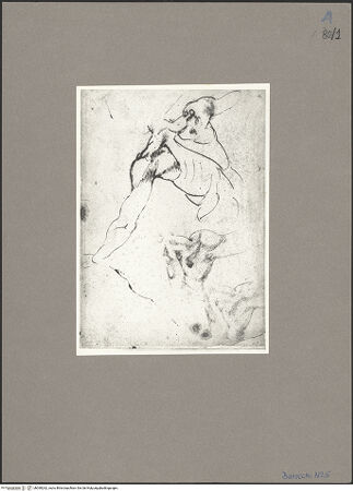 Vorderseite von bh090262_recto