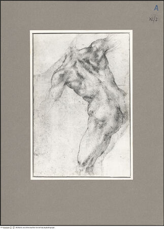 Vorderseite von bh090263_recto