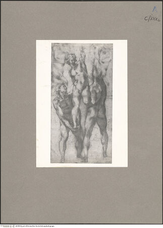 Vorderseite von bh090266_recto