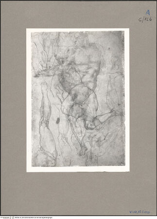 Vorderseite von bh090270_recto