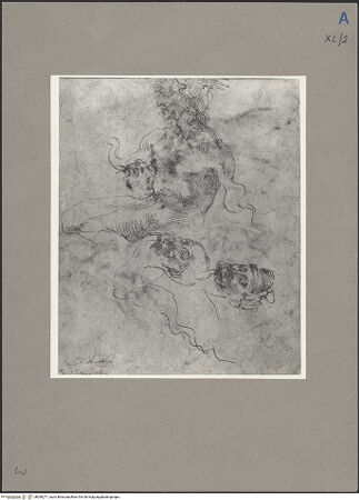 Vorderseite von bh090271_recto