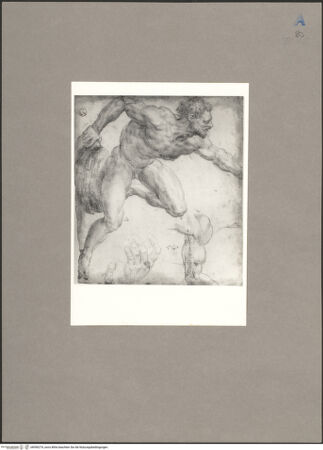 Vorderseite von Gabinetto Disegni e Stampe degli Uffizi [https://www.deutsche-digitale-bibliothek.de/content/lizenzen/rv-ez/] Sitzender nackter Mann, nach hinten gelehnt (Moses) - , bh090274_recto. Foto.