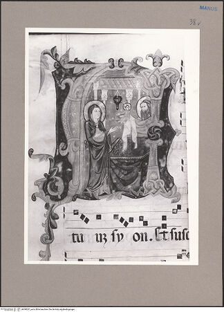 Vorderseite von bh090287_recto