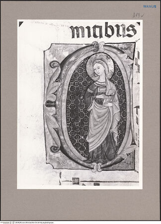 Vorderseite von bh090288_recto