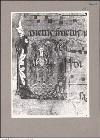 Vorderseite von bh090289_recto