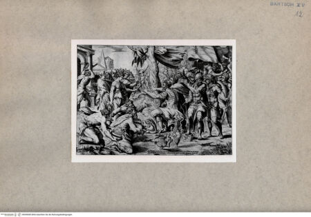 Vorderseite von  [http://creativecommons.org/publicdomain/mark/1.0/] Scipio - , bh090685. Foto.