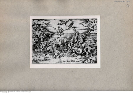 Vorderseite von  [http://creativecommons.org/publicdomain/mark/1.0/] Triumph der Venus - , bh090715. Foto.