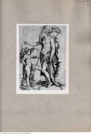 Vorderseite von  [http://creativecommons.org/publicdomain/mark/1.0/] Venus - , bh090727. Foto.