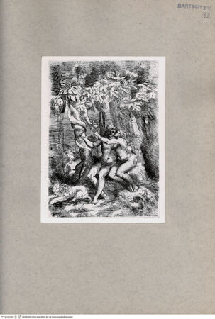 Vorderseite von  [http://creativecommons.org/publicdomain/mark/1.0/] Sündenfall - , bh090845. Foto.