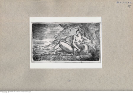 Vorderseite von  [http://creativecommons.org/publicdomain/mark/1.0/] Nymphe - , bh090974. Foto.