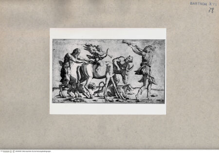 Vorderseite von  [http://creativecommons.org/publicdomain/mark/1.0/] Satyrn - , bh090981. Foto.