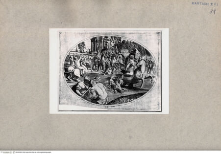 Vorderseite von  [http://creativecommons.org/publicdomain/mark/1.0/] Adonis - , bh090984. Foto.