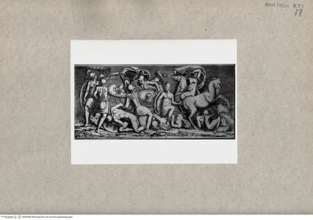 Vorderseite von  [http://creativecommons.org/publicdomain/mark/1.0/] Amazonen - , bh090986. Foto.