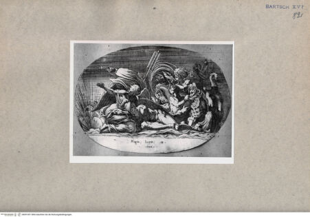 Vorderseite von  [http://creativecommons.org/publicdomain/mark/1.0/] Schlafender Natura - , bh091001. Foto.